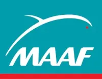 maaf